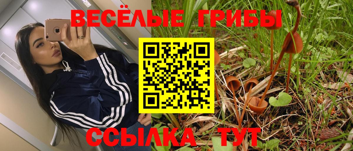 Галлюциногенные грибы мицелий  Вход с VPN  Качканар 